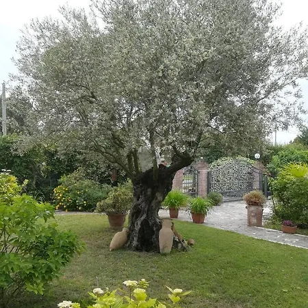 Casa Pianta Pensjonat