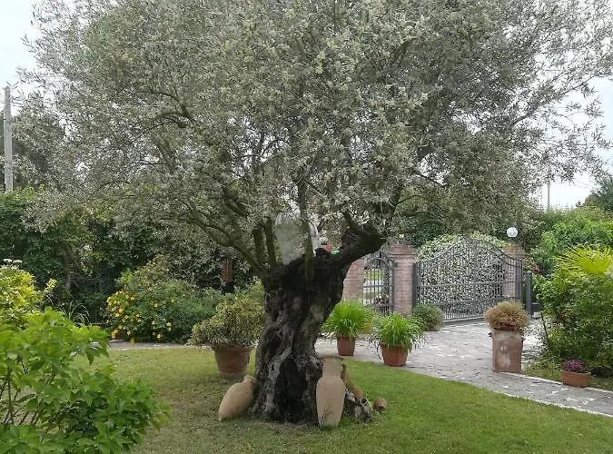 Casa Pianta בית הארחה