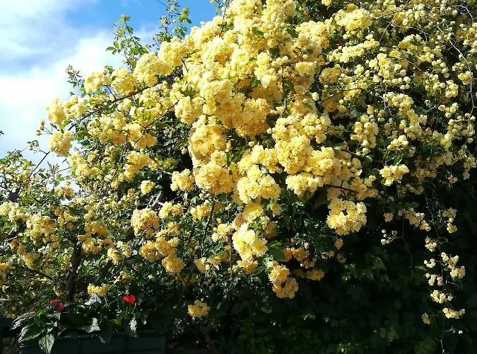 Casa Pianta Gasthof 4*