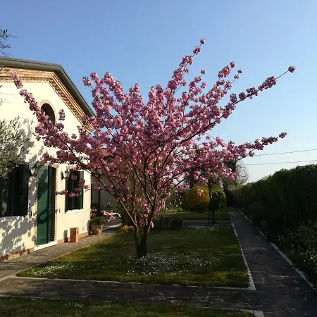 Guest house Casa Pianta Cavallino-Treporti